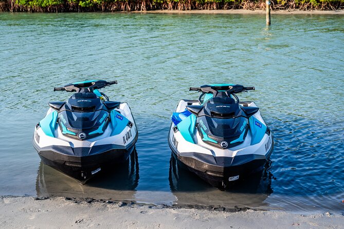 Dolphin Watching Jet Ski Tour - What the 75-minute jet ski ride is like