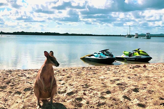 Gold Coast 30 Minute Jetski Tour in Surfers Paradise - Starting beside Surfers Paradise