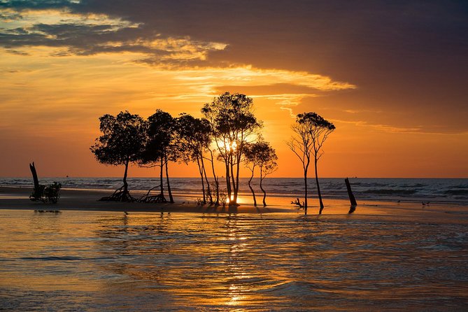 Golden Eye Sunset Jet Skiing in Darwin - Who will enjoy this most?