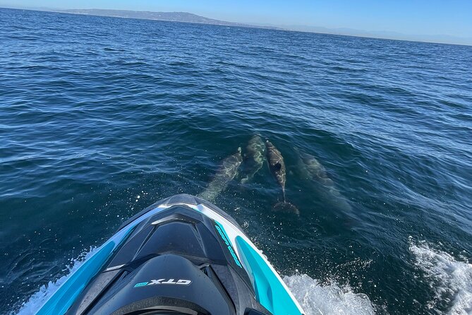 Guided Two hours Jetski Coastal Tour - Two Hours on the Pacific from Long Beach