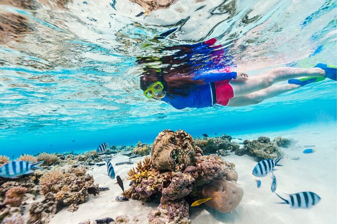 Half Moon Bay Jet Ski Tour & Snorkeling the La Famille Shipwreck - Leeward Passage leads to Half Moon Bay
