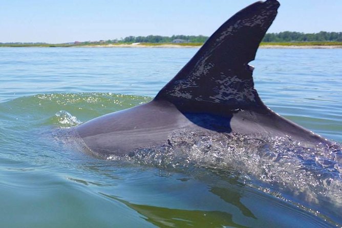 Hilton Head Island Jet Ski Adventure - Key points before you book