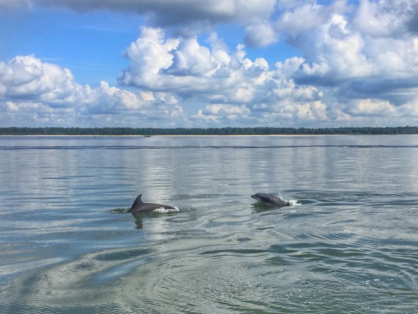 Hilton Head Island: Jet Ski Tour - Key points to know before you book