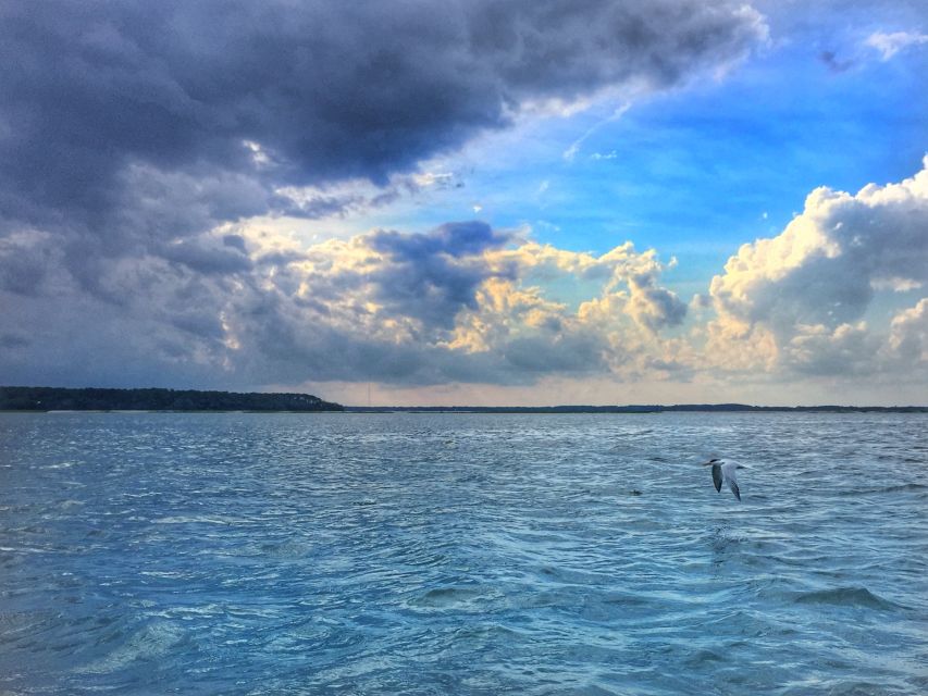 Hilton Head Island: Jet Ski Tour - Who will enjoy this most?