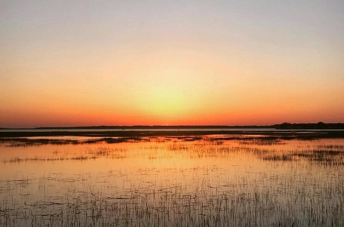 Hilton Head Jet Ski Creek Run Tour - Quiet creeks most people never see