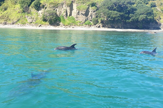Jet Ski Hire Auckland - Experience the Fun with the Best Operator - Adding fishing gear to the jet ski