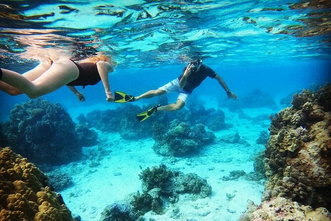 Jet Ski Moorea Customed Tour only - Jet ski condition and the tandem question