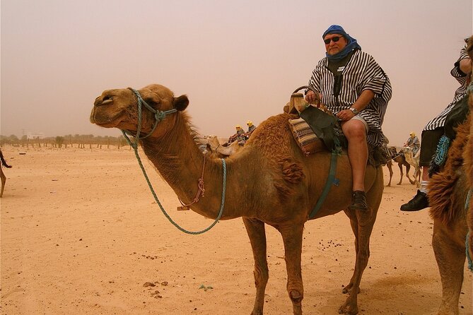Jet Ski Quad Bike Camel Rdie And Hammam Massage Package - Camel riding beside the eucalyptus forest