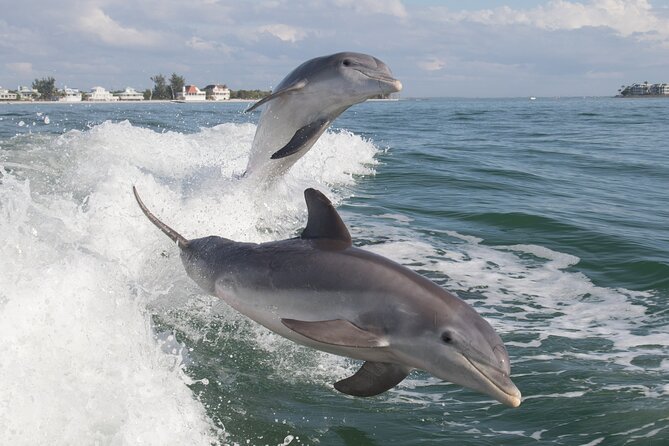 Jet Ski Rental from Fort Myers Beach to Sanibel - Solo riding or a two-person outing