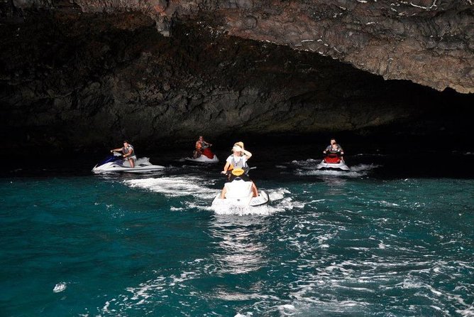 Jet Ski Safari South Tenerife - Wildlife sightings depend on luck