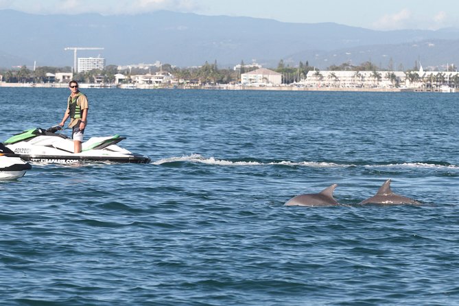 Jet Ski Safaris - 30 Minute Jet Ski Hire - Circuit riding versus a real safari