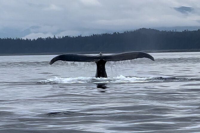Juneau Jetski & Whale Adventure - Why Juneau’s Water Makes This Adventure Different