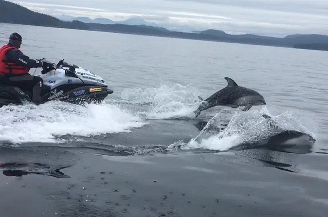 Juneau Jetski & Whale Adventure - The $550 Price and Who Gets Good Value