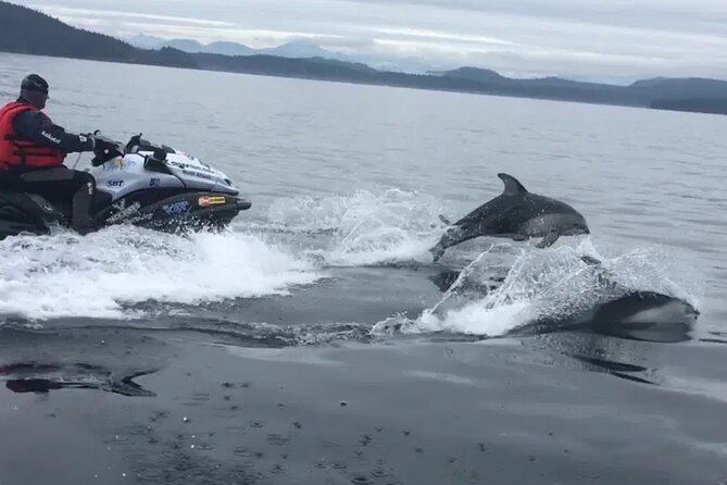 Juneau Jetski & Whale Adventure - Guides, Coaching, and the Small Details That Matter