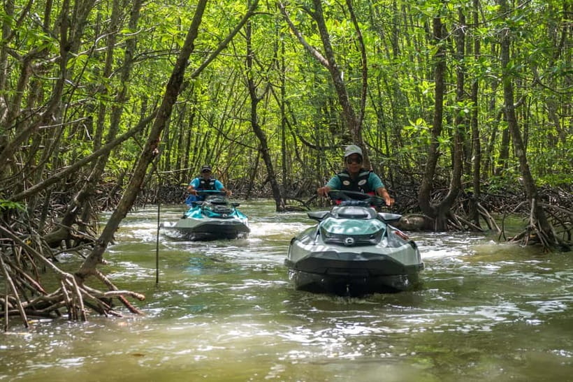 Langkawi: Jet Ski Tour UNESCO Kilim Geopark Free Video - Monkey watching beside the mangrove river
