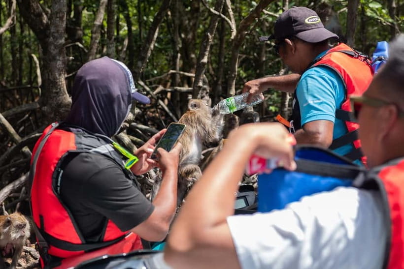 Langkawi: Jet Ski Tour UNESCO Kilim Geopark Free Video - Looking for eagles above Kilim Geopark