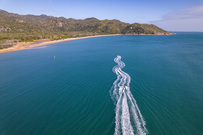 Magnetic Island 60-Minute Jet Ski Hire – 1 to 8 People - Wildlife watching between the bursts of speed