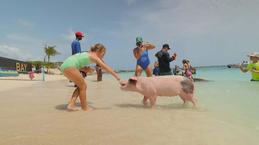 Mansa Bay w/ Swimming Pigs, Banana Boat, JetSki & Snorkeling - Why this Mansa Bay outing works