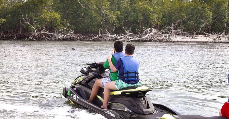 Marco Island: Ten Thousand Island Jet Ski Guided Tour - Watching for Dolphins, Manatees, and Birds