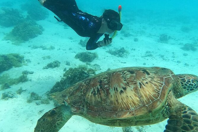 Moorea Combo 3 hours Jet Ski & 3 hours 30 ATV - Who should book this Moorea tour?