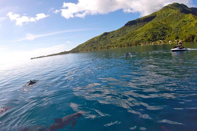 Moorea Solo or Twin 3 hours Jet Ski Tour - The Motu Tiahura wildlife stop