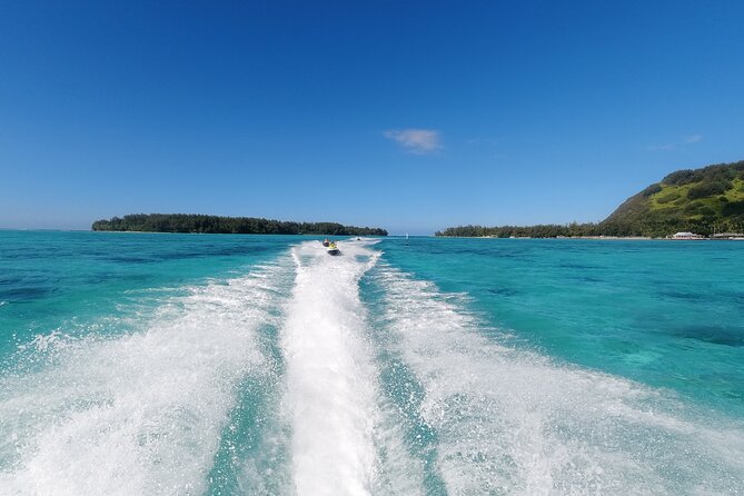 Moorea Solo or Twin Island Tour Jet Ski 4 hours - Dolphins, turtles, and the Moorea Dolphin Center area