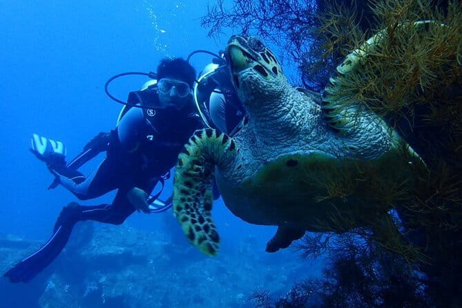 Nusa Dua Marine Jet Ski and Parasailing Adventure with Hotel Pick up - Is $53.85 good value?