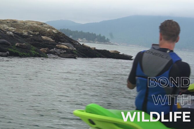 Ocean is Yours Seadoo Experience from Vancouver - Pam Rocks and the seal colony
