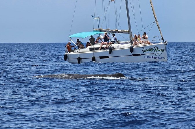 Ocean Pack Tenerife Jet Ski and Yacht Whale Watching - The guides can shape the whole day