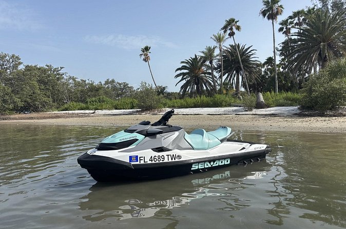 One Hour Guided JetSki Tour - Dolphins, photos, and the unpredictable parts
