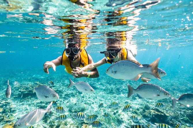 Parasailingcancun and Jet Ski tour over Cancun Bay - The snorkeling details need clarification