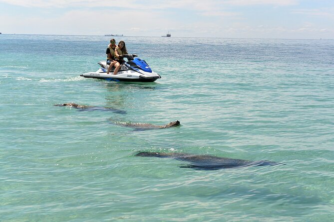 Perth Jet Ski Tour - What the ride feels like for a first-time driver