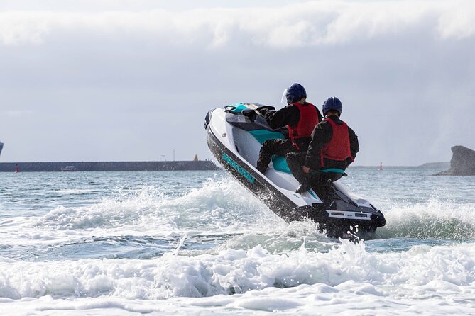 Puffin Jet ski tour in Reykjavík - Puffin Island and the wildlife focus