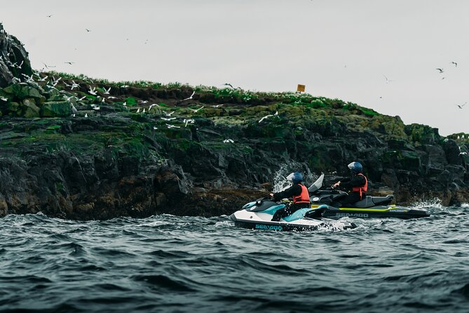 Puffin Jet ski tour in Reykjavík - Speed, safety, and the guide experience