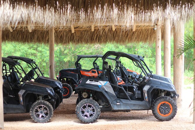 Punta Cana Buggy & Jet Ski Adventure with Water Park Access - Who will enjoy this package most