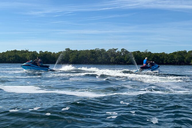 Six Fins Jet Ski Adventure – The Only 2-Hour Tour in Key West - Wildlife in the Florida Keys National Marine Sanctuary