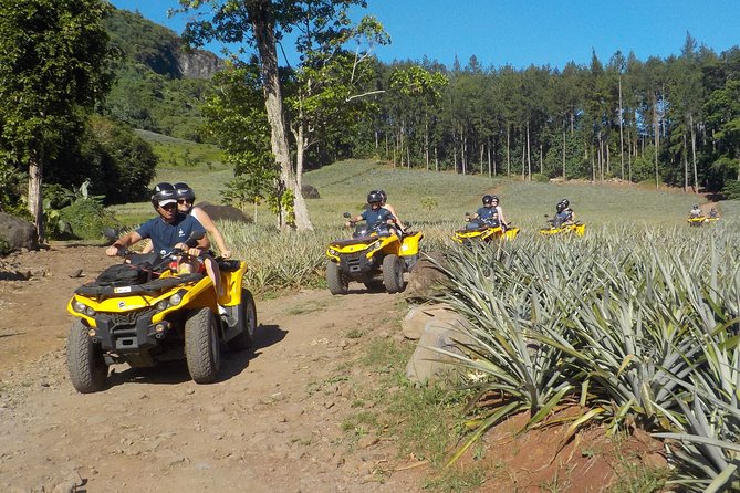Small Combo 2h30 Quad + 1h Jetski - Pineapple fields and local products at the agricultural school