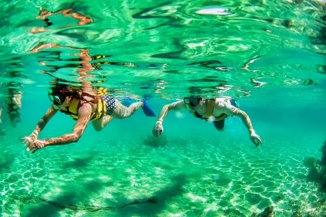 Speedboat across the Mangroves & Snorkel with Jet Ski Rental - Guides are the strongest part of the experience