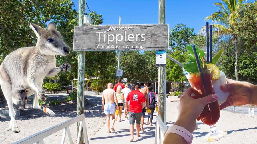 Surfers Paradise: 2 Hour Tropical Island Jet Ski Tour - Key points at a glance