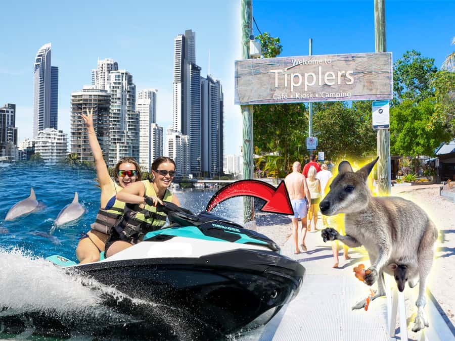 Surfers Paradise: 2 Hour Tropical Island Jet Ski Tour - Tipplers Cafe on South Stradbroke Island