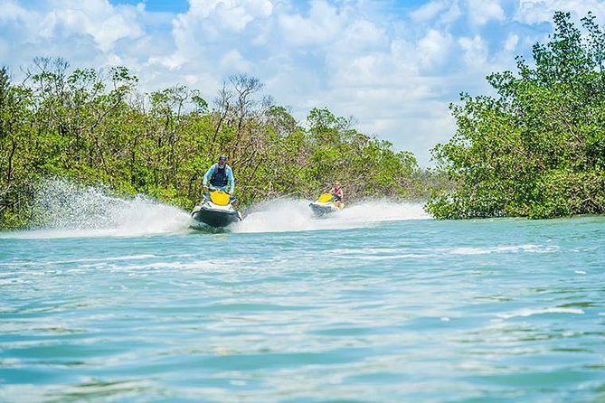Ten Thousand Island Jet Ski Eco Tour - Marco Island - Dolphins, manatees, birds, and the limits of wildlife promises