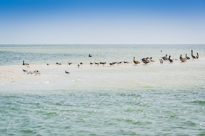 Ten Thousand Island Jet Ski Eco Tour - Marco Island - How the tour feels for couples and families