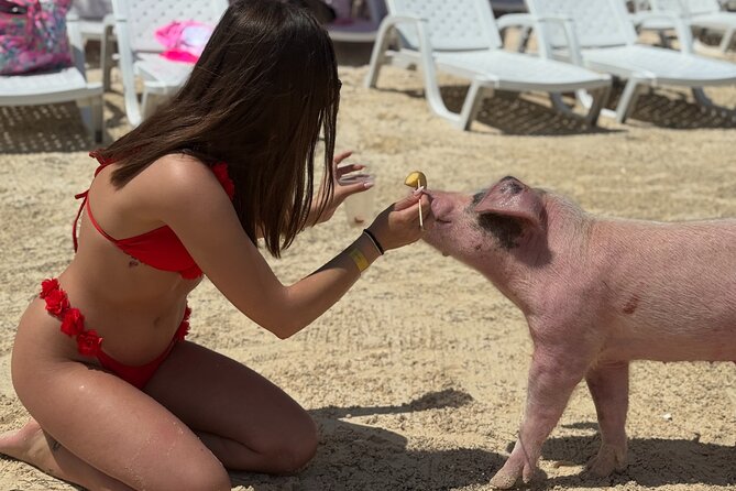 The Ultimate Bahamian Beach Day: Pigs, Jet Ski, Snorkeling & More - Snorkeling, kayaks, and easier water play