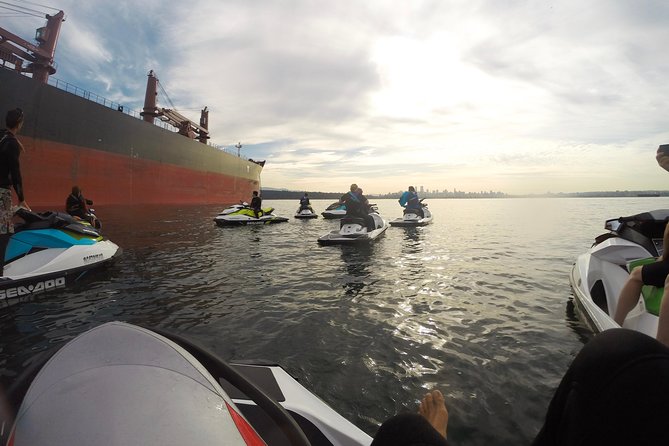Vancouver Jetski Tour with Dinner on Bowen Island - The marine-life stop near the seal colony