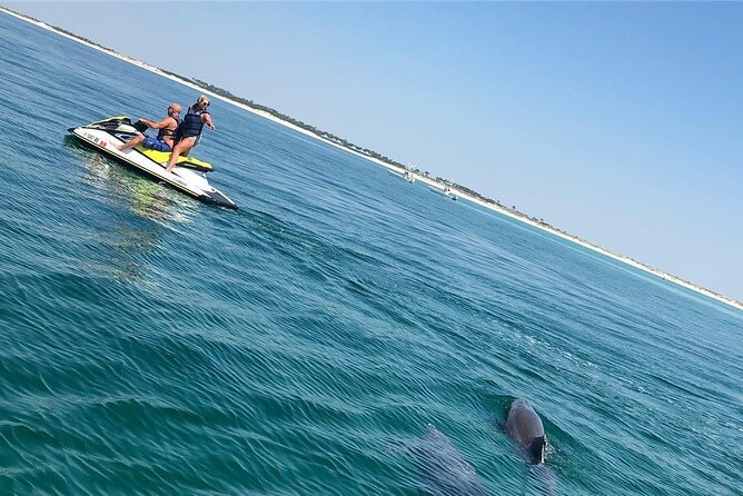 Waverunner Dolphin Tour - The final 30 minutes are for riding, not searching