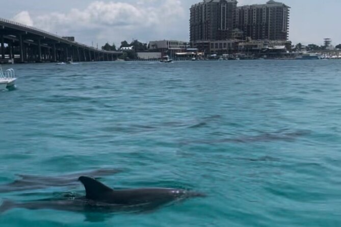 Waverunner Dolphin Tour - Through the pass and into the Gulf of Mexico