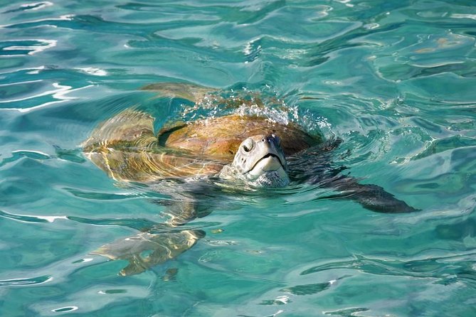 Whitsundays Guided Jet Ski Tour - Riding from Coral Sea Marina into the Whitsundays